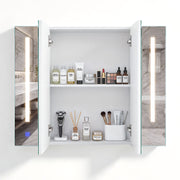 OYAJIA Bathroom Mirror Cabinet with 3 Light Colors, 2 Doors and Adjustable Shelves
